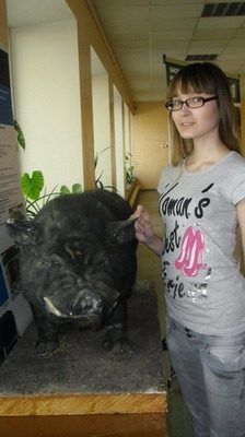 День открытых дверей 6 День открытых дверей 6